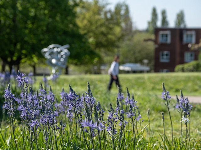 a picture of campus in spring